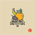 fruits, line fruits label, exotic fruits