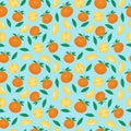 Fruits mandarin seamless patterns