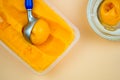 Fruits and mango passion fruit sorbet ice cream Royalty Free Stock Photo