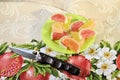 Fruits marmalade sweet dessert colored candied fruit jelly gourmet snack folding knife wood handle background