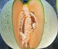 Fruits melons merlin Royalty Free Stock Photo