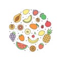 Fruits multicolored outline vector circle illustration. Modern minimalistic design.