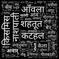 fruits name in hindi language word cloud. word cloud use for banner, painting, motivation, web-page, website background, t-shirt Royalty Free Stock Photo