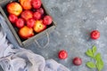 Fruits of nectarines and plums with branch with green leaves in a wooden box. Rural style Royalty Free Stock Photo