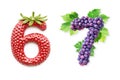 Fruits Number \