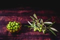 Fruits of the olive tree, on a dark background, source of virgin olive oil