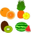 Fruits - orange, pineapple, kiwi, watermelon