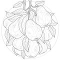 Fruits.Pears with leaf.Tasty sweets.Coloring book antistress for children and adults