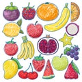 Fruits in Pencil Colour Sketch Simple Style