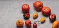 Fruits with phytophthora infestans on a gray background. Top view of overripe rotten tomatoes.