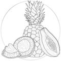 Fruits. Pineapple, papaya and coconut.Coloring book antistress for children and adults