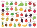 Collection of various hand drawn, flat colored whole fruits and berries Royalty Free Stock Photo