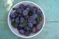 Fruits of prunus domestica tree in white bowl on vintage green background with cracked surface, tasty ripened dark blue plums Royalty Free Stock Photo