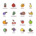 Fruits raw food colored vector icons set Royalty Free Stock Photo