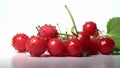 Fruits rich in anti oxidants. Tasty cherries in a close up. A bit of big red cherries. Still photography Royalty Free Stock Photo