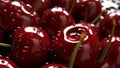 Fruits rich in anti oxidants. Tasty cherries in a close up. A bit of big red cherries. Still photography