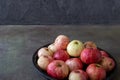 Fruits -rustic apples on a platter on a dark background