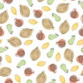 Fruits seamless pattern background design. Hand drawn coconut, lemon, pears and pomegranat etc. Royalty Free Stock Photo