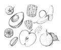 Fruits set collection apple orange lime banana corn avocado hand drawn sketches white isolation background Royalty Free Stock Photo