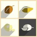 Fruits set of flat icons with shadow. Vector illustration