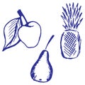 Fruits set. Hand drawn apple, pear and pineapple icons or sign. Doodle vector illustration on white background.