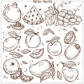 Fruits sketch vector icons farm fresh exotic tropical fruit set Royalty Free Stock Photo