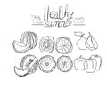 Fruits sketch. Vector isolated icons of melon and watermelon,orange and kiwi. Sketched apple. Fresh lemon, Cover for fruit package Royalty Free Stock Photo
