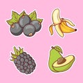 Fruits sticker hand drawn coloring vector icon illustration