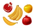 Fruits such as banana, apple, pomegranate. Vector illustration