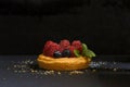 Delicious fruits tartlet with fresh raspberries, blueberries and ment on black background Royalty Free Stock Photo