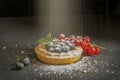 Fruits tartlet with fresh red ribes, blueberries and ment decorated powdered sugar on black background