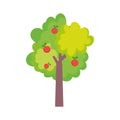 Fruits tree apples harvest farm icon