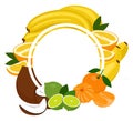 Fruits tropical background frame. Assorted fruits arranged in a circle on the white background, copy space for text in Royalty Free Stock Photo