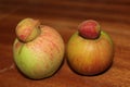 the fruits of two apples look like birds