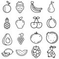 Fruits vector icon set. vitamin illustration sign collection. tropical symbol. vegetarianism logo.