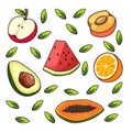 fruits vector illustration In isolated white background Royalty Free Stock Photo