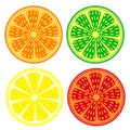 Fruits vector set of citrus: orange, lime, lemon, grapefruit, detailed icons? isolated over white background Royalty Free Stock Photo