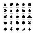 Fruits vegan silhouette icons business analysis vector set design elements vegetables fresh healthy food vector symbol Royalty Free Stock Photo