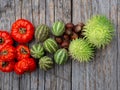 Red and green autumn fruits decoration Royalty Free Stock Photo