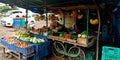 Fruits and vegetables hand carriage shop