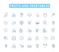 Fruits and vegetables linear icons set. Apples, Oranges, Bananas, Kiwis, Grapes, Pears, Pineapple line vector and