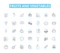 Fruits and vegetables linear icons set. Apples, Oranges, Bananas, Kiwis, Grapes, Pears, Pineapple line vector and