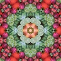 Fruits and vegetables in mandala