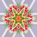 Fruits and vegetables in mandala