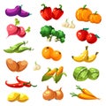 Fruits and Vegetables. Organic Food Icons Vector