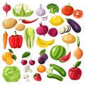 Fruits and vegetables, organic ingredients, useful meal vector Royalty Free Stock Photo