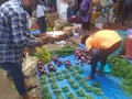Farmers market in Mapusa, North Goa, India.