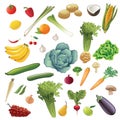 Fruits and Vegetables