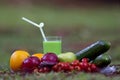 Fruits and vegetables in a tropical garden