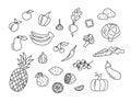 Fruits and vegetables vector doodles set. Raw food elements isolated black on white background. Hand drawn outline Royalty Free Stock Photo